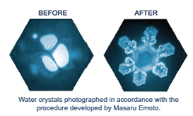 Sklenice Jasmina Platina 0,3 l - "Květ života"